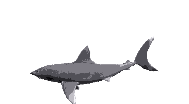 this is a gif of a shark spinning